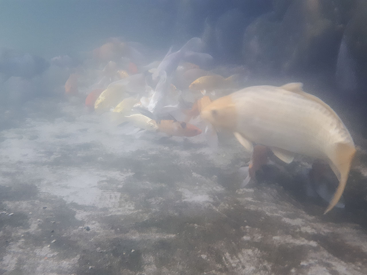 chơi game, chụp hình dưới nước Galaxy A 2017 chơi game, chụp hình dưới nước Galaxy A 2017