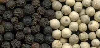 Nên ăn tiêu đen hay tiêu trắng (tiêu sọ)?
