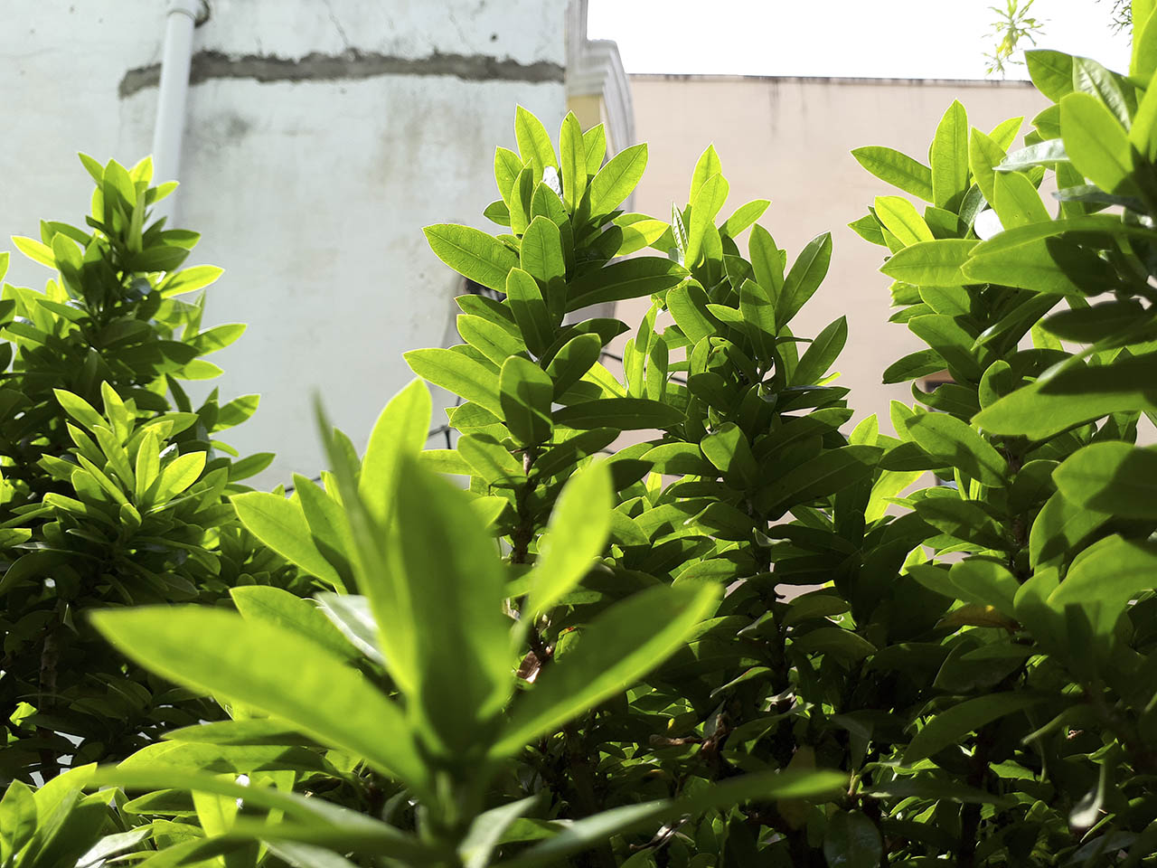 so sánh Galaxy A7 2017 và Galaxy Note 5