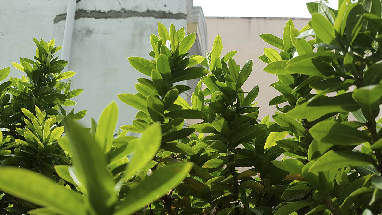 so sánh Galaxy A7 2017 và Galaxy Note 5