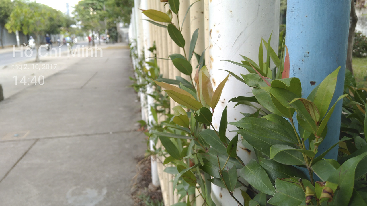 đánh giá camera Nokia 6 đánh giá camera Nokia 6