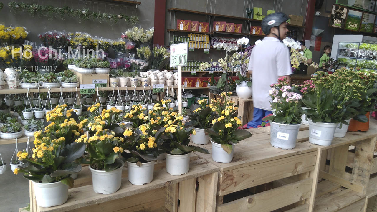 đánh gía camera Nokia 6 đánh gía camera Nokia 6