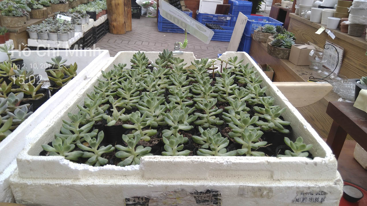 đánh gía camera Nokia 6 đánh gía camera Nokia 6