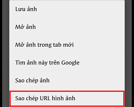 Chọn Sao chép URL hình ảnh