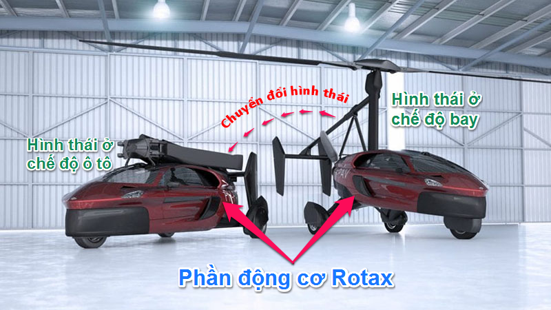 Mô tả hình thái biến hình của Liberty