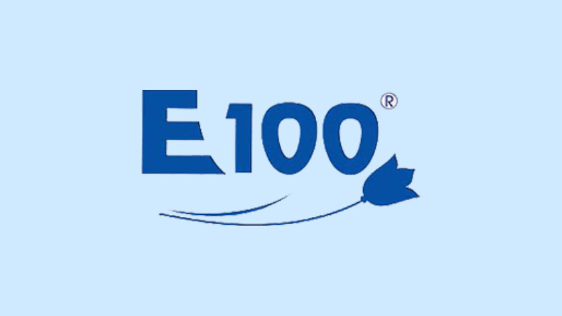 Đôi nét về thương hiệu E100