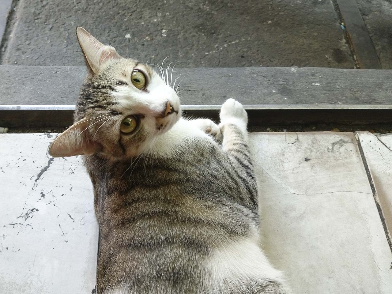 bộ ảnh Nam Du bằng HTC U Play