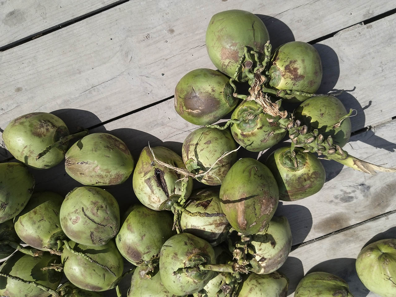 tạo ảnh hột vịt lộn bằng Picsart