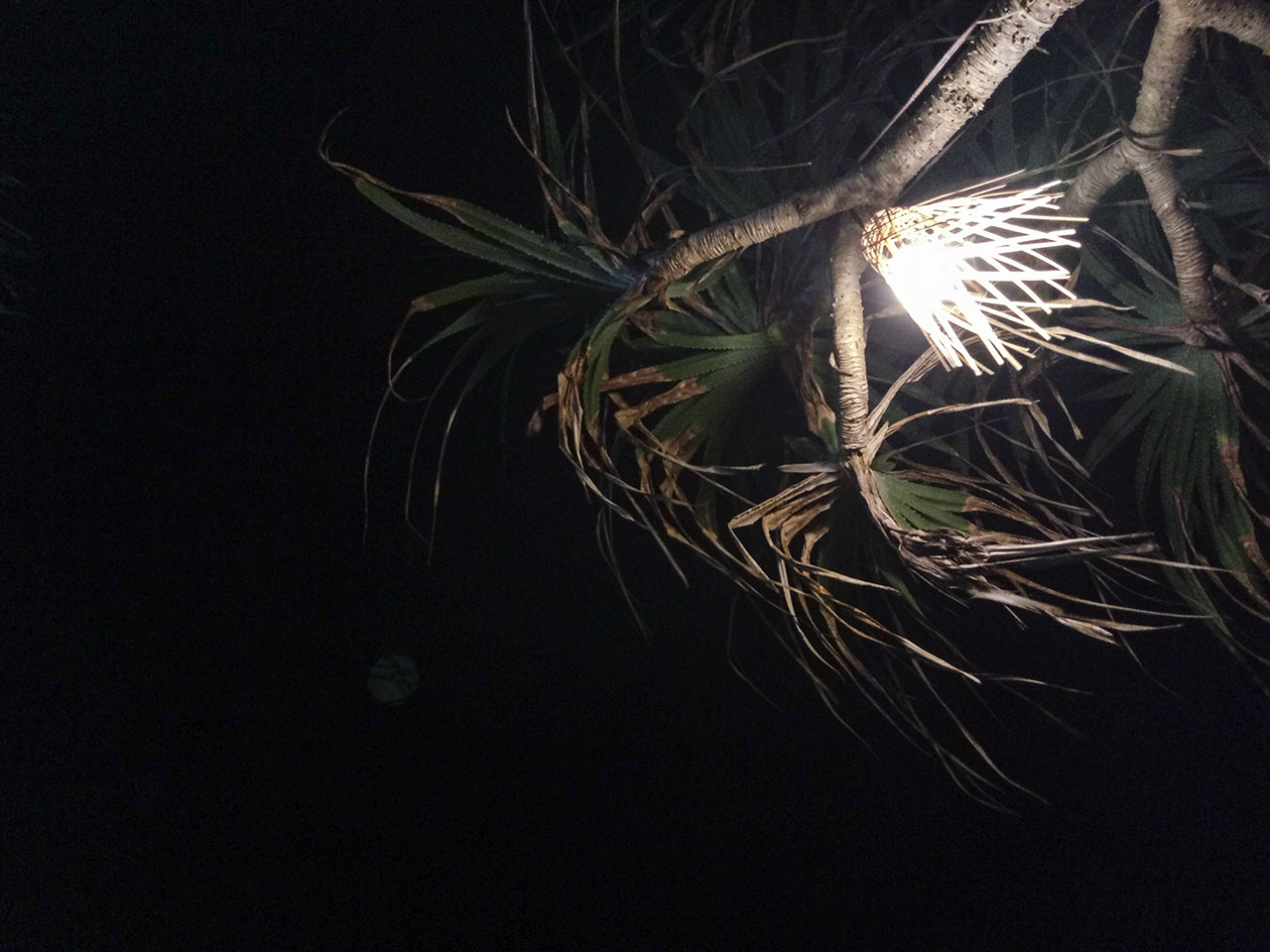 bộ ảnh Nam Du bằng HTC U Play