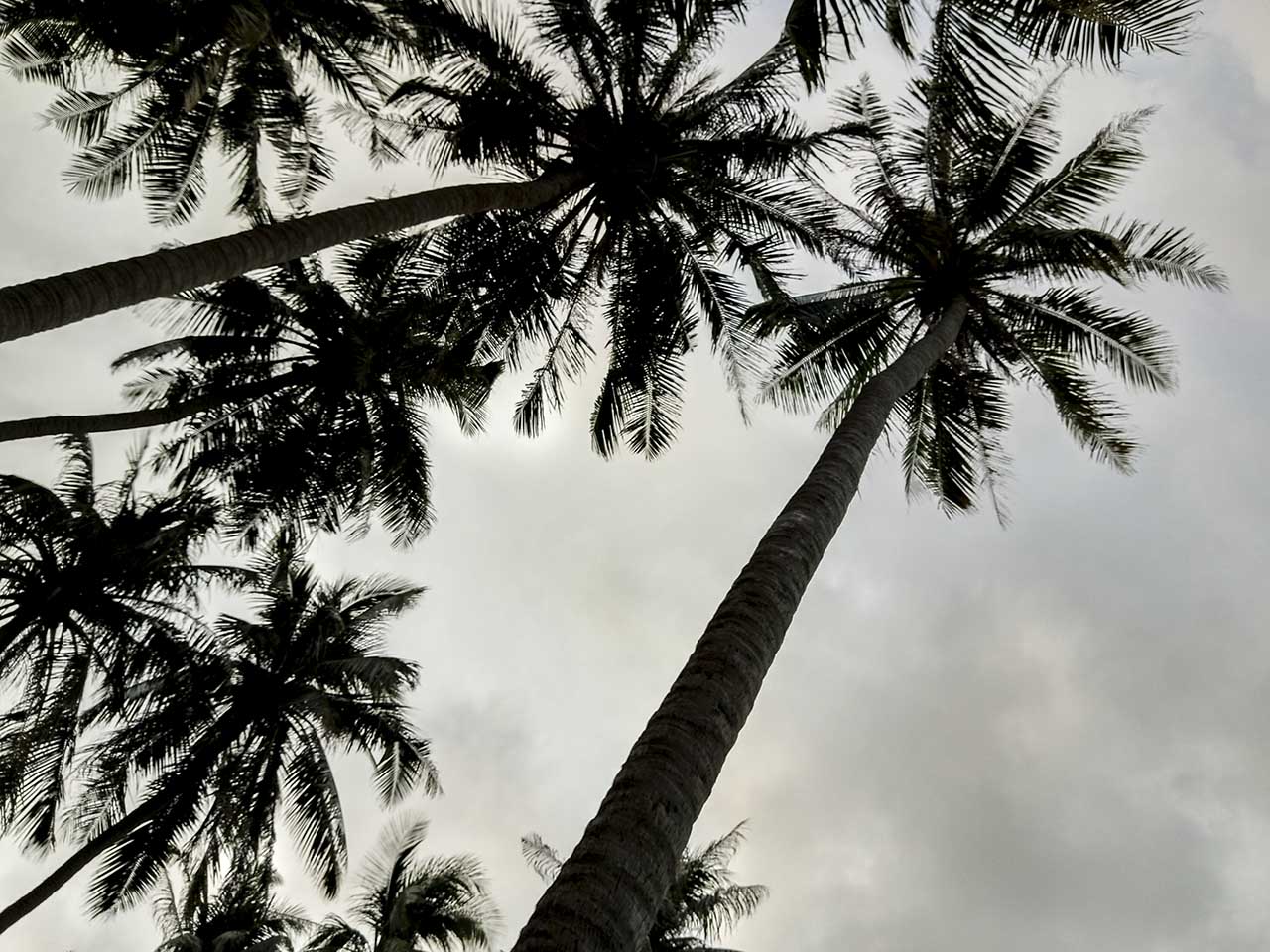 bộ ảnh Nam Du bằng HTC U Play