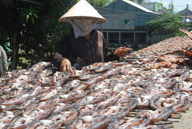 Tìm đến những cơ sở chế biến uy tín để chọn mua