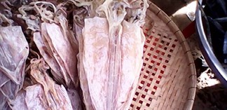 Cách chọn mực khô ngon và an toàn