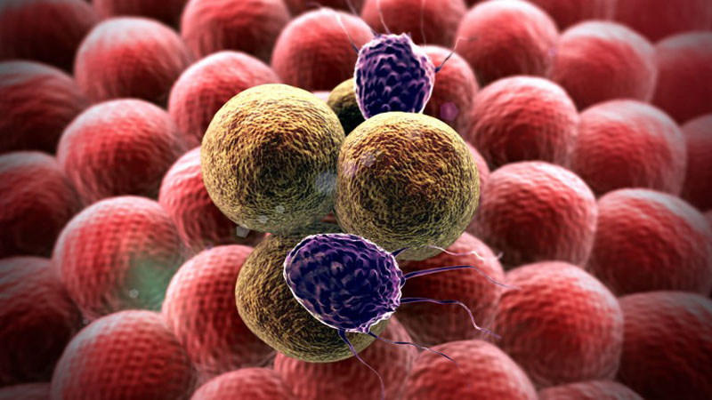 chữa trị ung thư bằng smartphone