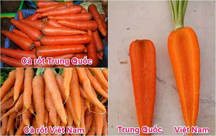 Phân biệt dựa vào màu sắc cà rốt