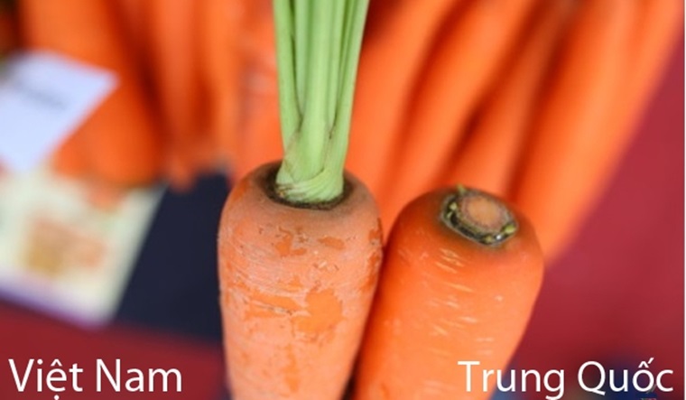 Phân biệt dựa vào cuống cà rốt