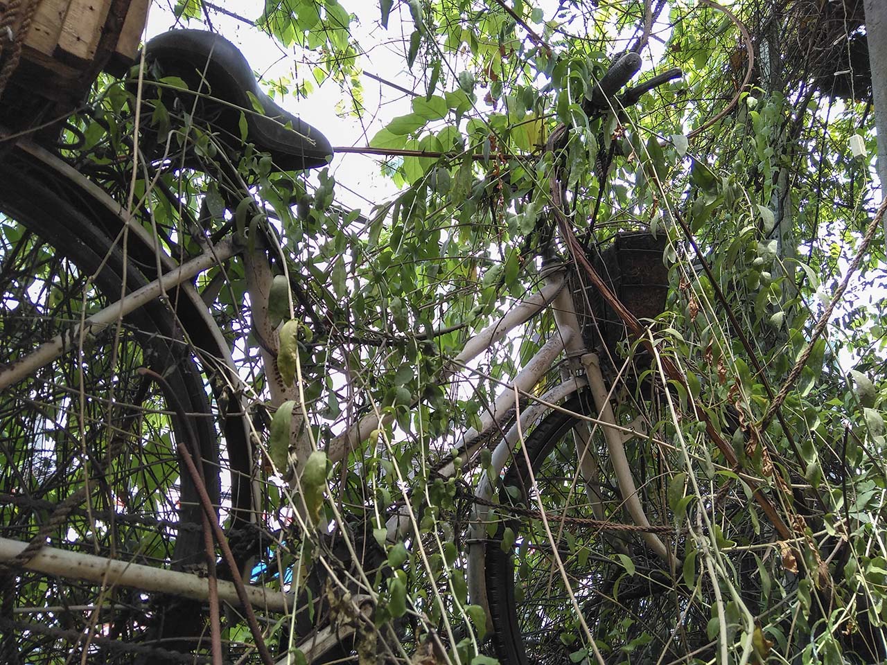 Đánh giá nhanh camera Redmi Note 4 Đánh giá nhanh camera Redmi Note 4