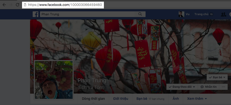 fb fb