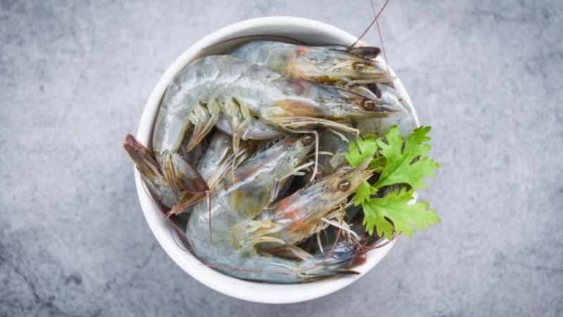 Health benefits of shrimp