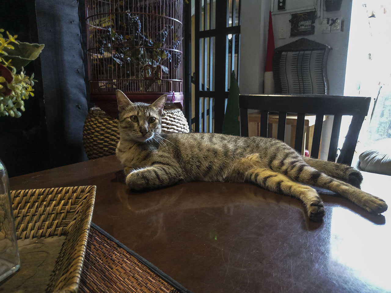 Đánh giá chi tiết Meizu MX6