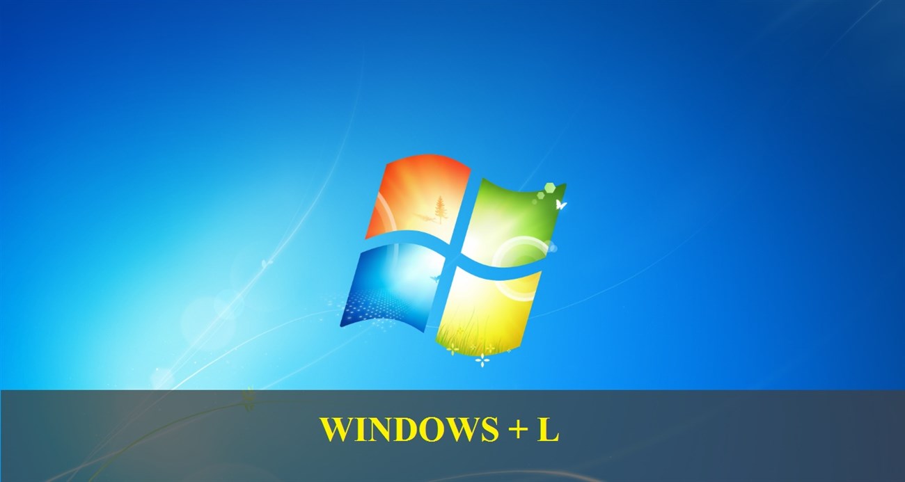 windows