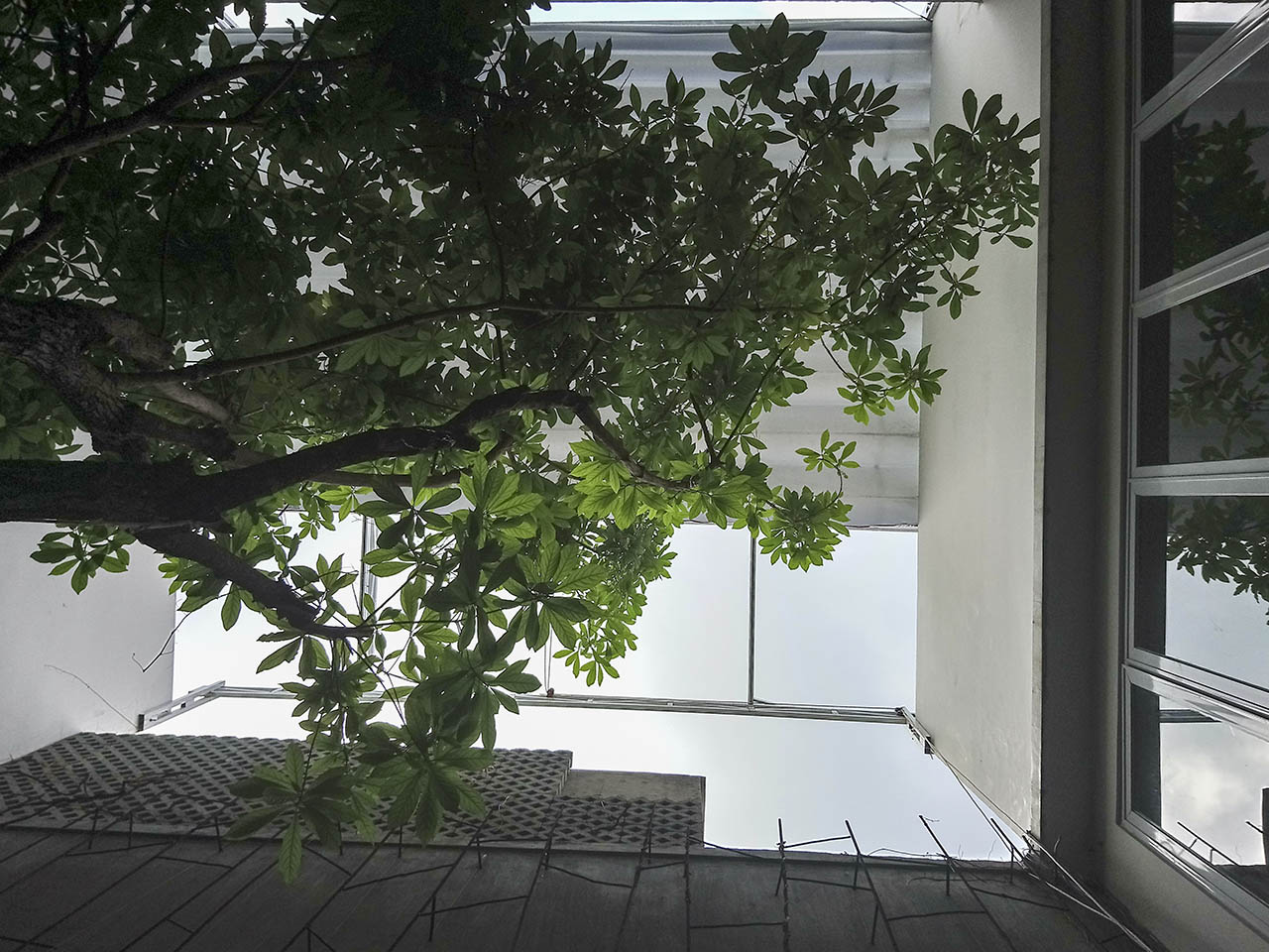 Đánh giá nhanh camera Xperia XA1 Đánh giá nhanh camera Xperia XA1