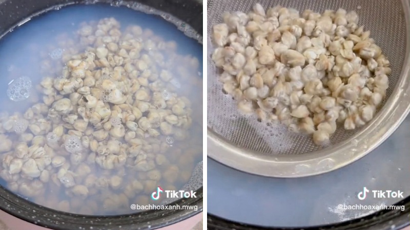 Preparing clams by boiling and removing the meat.