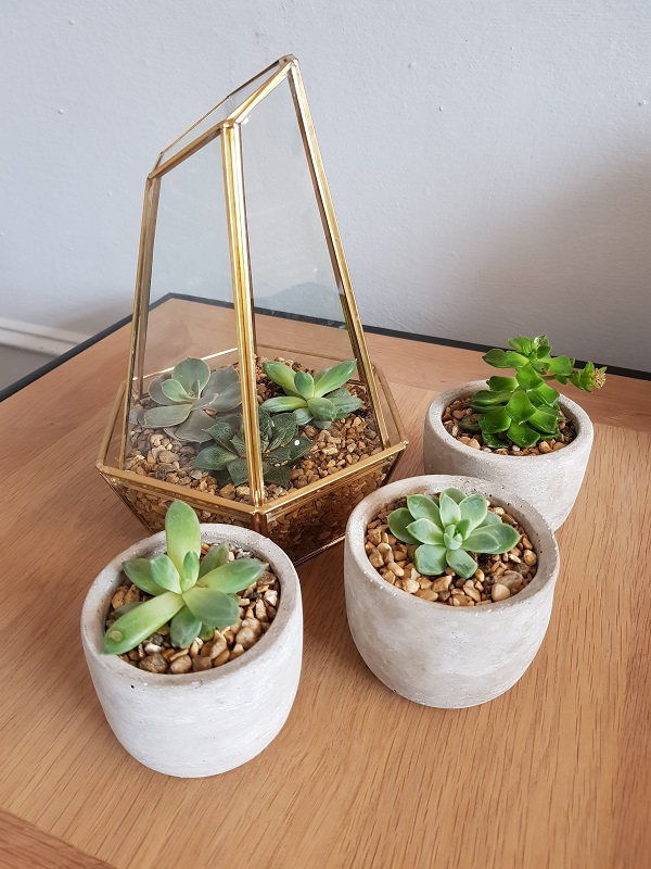 Những hình ảnh đầu tiên được chụp bằng camera 12MP của Galaxy S8