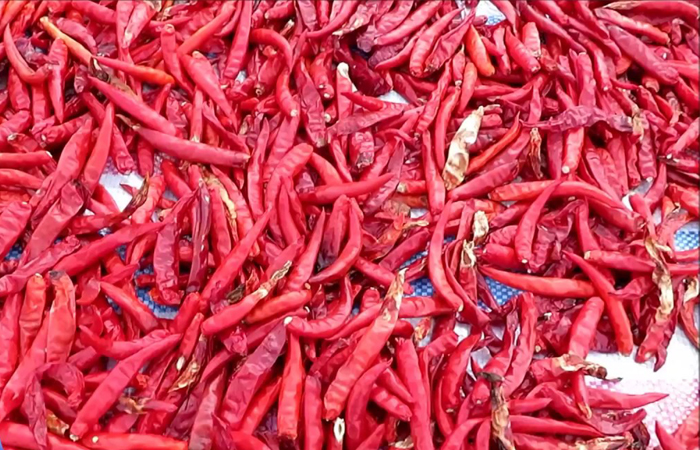 Store chili by drying
