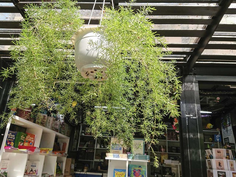 Đánh giá camera motion eye trên Xperia XZs Đánh giá camera motion eye trên Xperia XZs