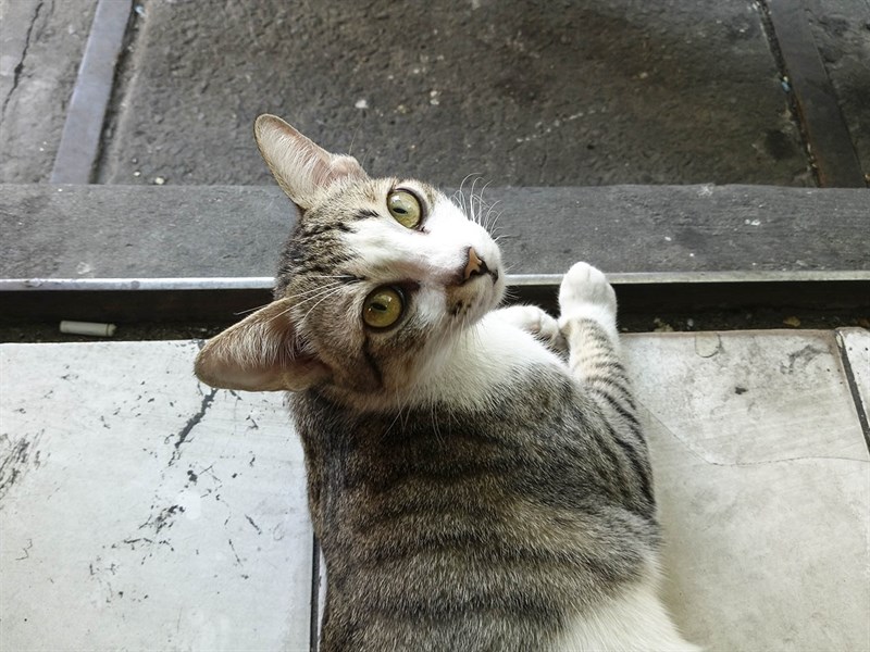 Đánh giá chi tiết HTC U Play Đánh giá chi tiết HTC U Play