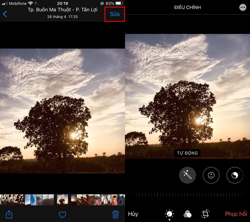 Meo-huu-ich-tren-iPhone