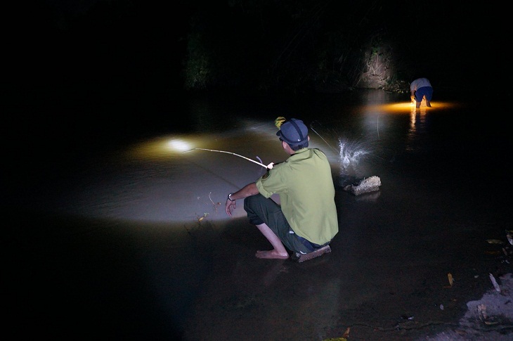 Đèn pin để câu cá, săn bắn