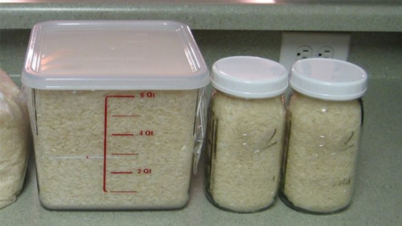 Bảo quản gạo trong túi nhựa, chai nhựa
