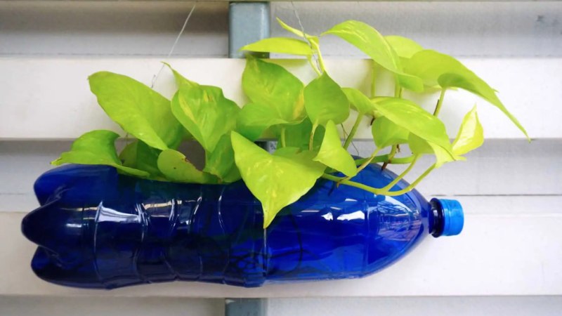 Tái chế chai nhựa trồng cây