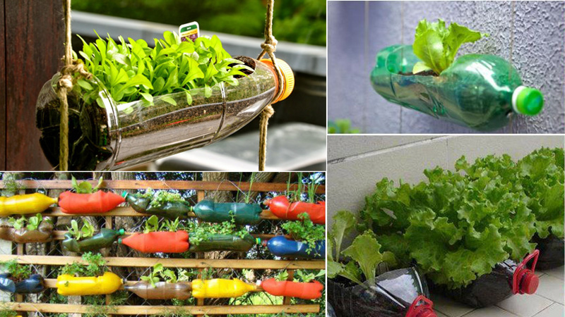 Chai nhựa xài xong đừng vứt, hãy dùng chúng cho các việc này