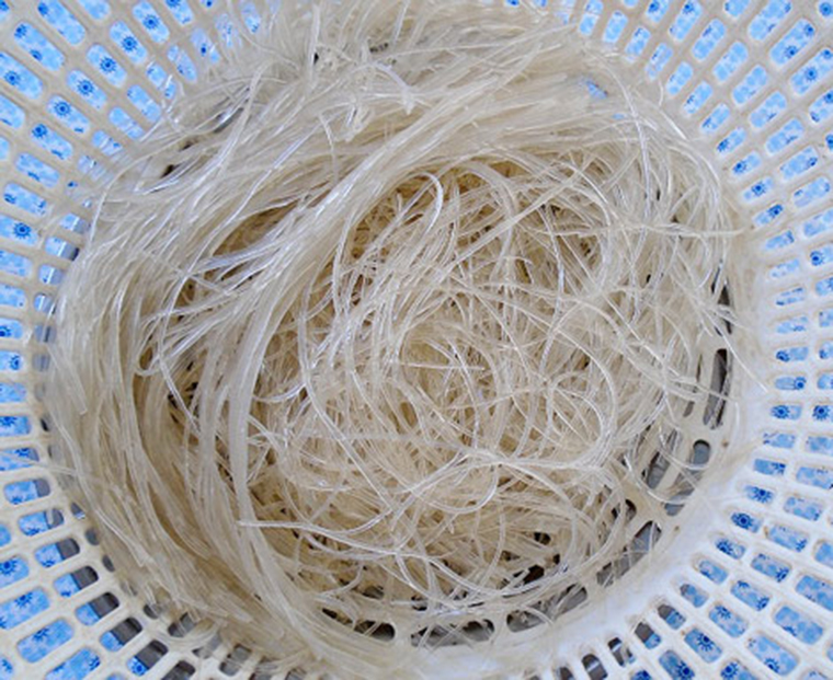 Cách làm miến gà trộn đậm chất Hà Nội Cách làm miến gà trộn đậm chất Hà Nội