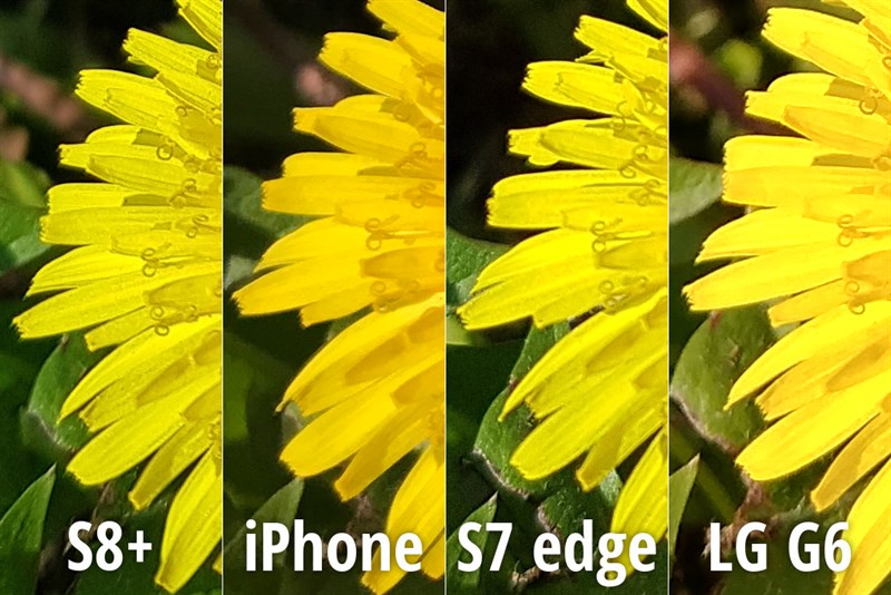 So sánh camera Galaxy S8, LG G6, iphone 7 plus và S7 Edge