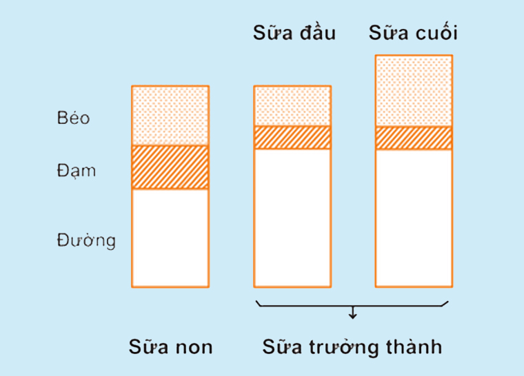 Lợi ích của sữa non với trẻ sơ sinh