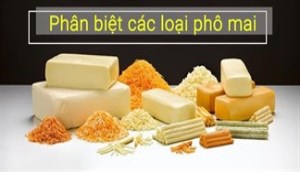 Phân biệt 10 loại phô mai ngon nhất, cách sử dụng và bảo quản