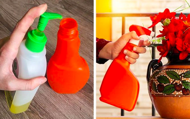 Bảo vệ cây cảnh khỏi côn trùng Bảo vệ cây cảnh khỏi côn trùng