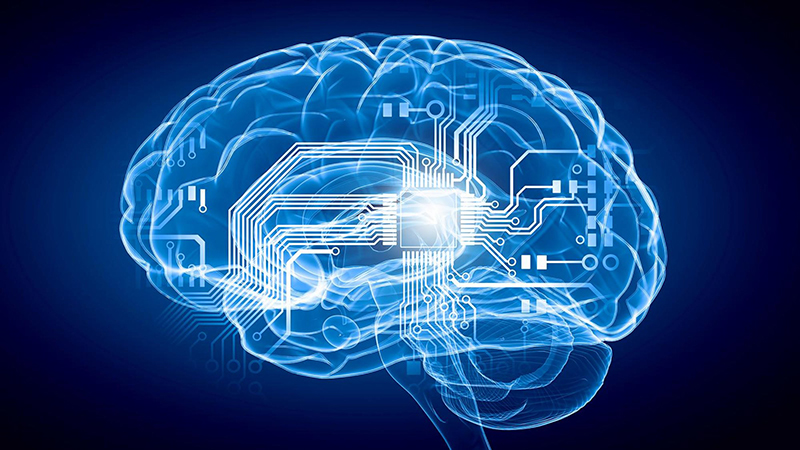 Kết nối não bộ con người và máy tính