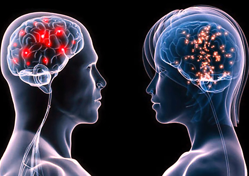Não người Não bộ con người còn rất nhiều điều mà chúng ta chưa thể biết hết được