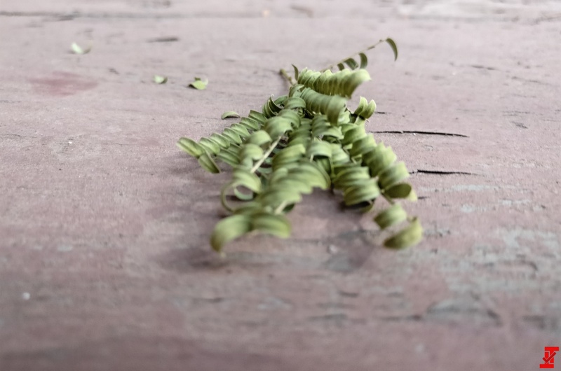 Những hình ảnh đầu tiên chụp từ OnePlus 5, siêu phẩm chip Snapdragon 835, RAM 8GB Những hình ảnh đầu tiên chụp từ OnePlus 5, siêu phẩm chip Snapdragon 835, RAM 8GB