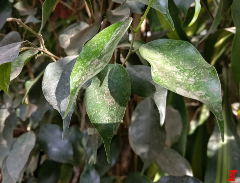 Những hình ảnh đầu tiên chụp từ OnePlus 5, siêu phẩm chip Snapdragon 835, RAM 8GB Những hình ảnh đầu tiên chụp từ OnePlus 5, siêu phẩm chip Snapdragon 835, RAM 8GB