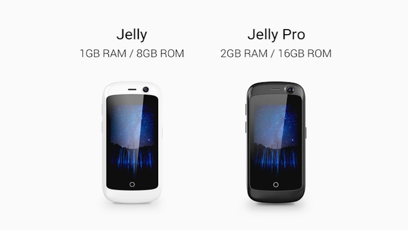 Jelly Pro Jelly Pro