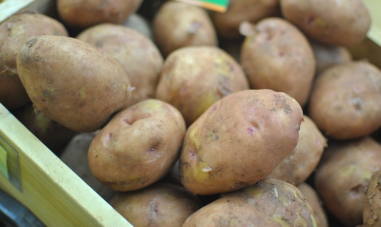 Chọn mua khoai tây sạch, không hóa chất