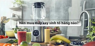 Máy xay sinh tố loại nào tốt? Nên mua máy xay sinh tố của hãng nào?