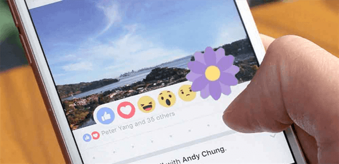 Biểu tượng cảm xúc "bông hoa" trên Facebook là gì?
