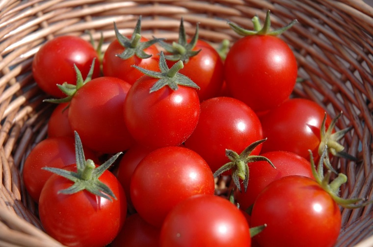 Cách chọn mua cà chua tươi ngon