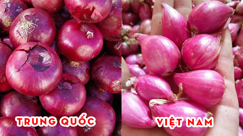 Mẹo phân biệt các loại củ hành, tỏi, gừng Trung Quốc